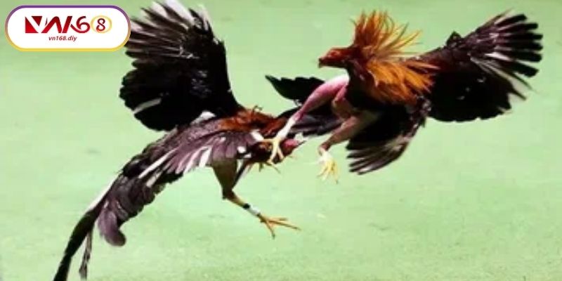 Lich-tran-va-thoi-quen-dung-gio