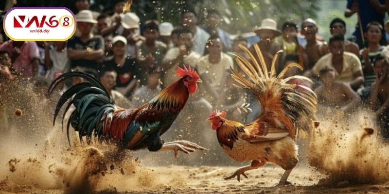 Ưu-The-Khi-Choi-Đa-Ga-88-Tai-VN168