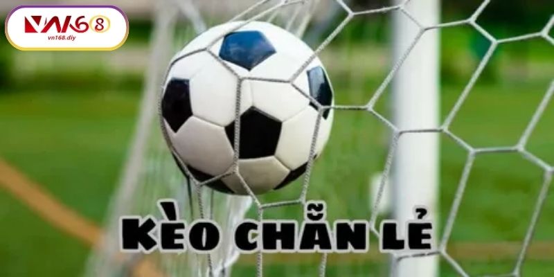 Ly-Do-Nen-Choi-Keo-Chan-Le-Tai-VN168